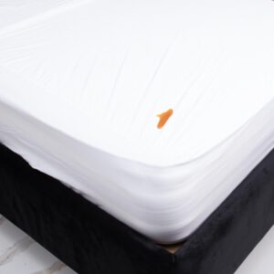 מגן מזרן 100% טנסל (אקליפטוס) | BRIZA